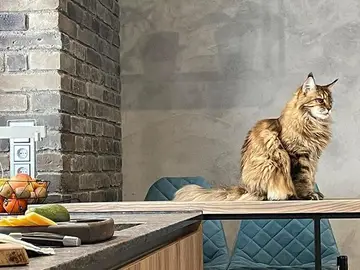 Кирпич Кревский — интерьер 3