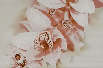 Aroma — интерьер 3