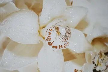 Aroma — интерьер 4