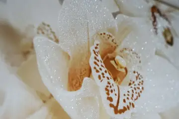 Aroma — интерьер 5