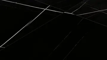 Charme Deluxe Floor — интерьер 75