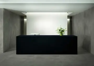 Grande Solid Color — интерьер 3