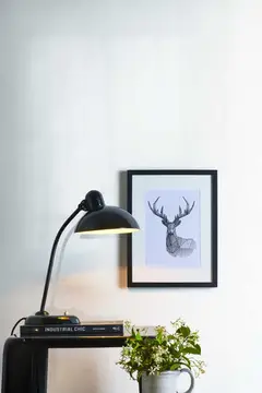 Grande Solid Color — интерьер 5