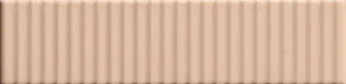 41zero42 BISCUIT Strip Powder 5х20