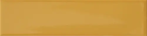 41zero42 KAPPA Mustard 5х20