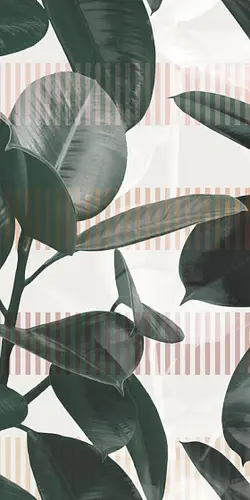 41ZERO42 Paper41 PRO Olivia 50x100