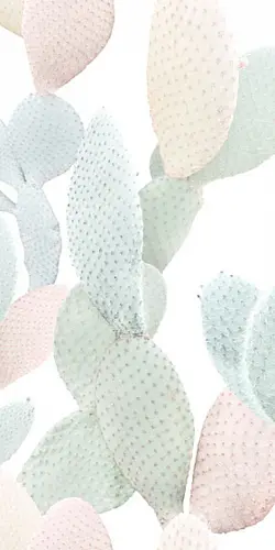 41ZERO42 Paper41 PRO Marcela 50x100