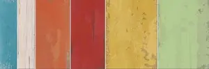 ABK Dolphin Snip Paint MIX 15x20