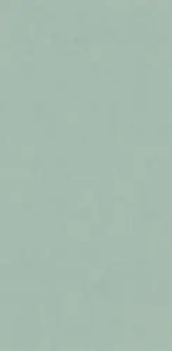 Плитка настенная Wide And Style Mini Vol2 Mint Ret 60х120