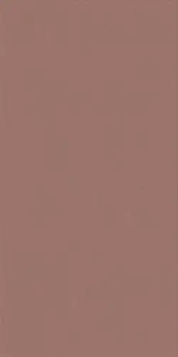 ABK Wide and Style Mini Paprika Ret. 60x120