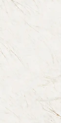 Плитка Bianco Australe 163.5X323 PF60006220 6мм