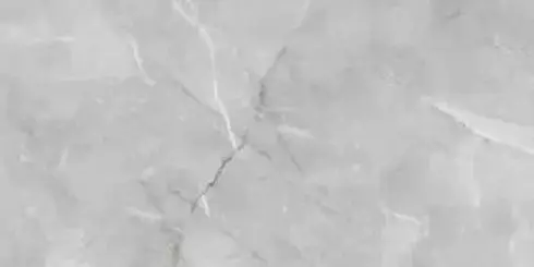 Керамогранит Armani Silver 60х120 полированный универсальный
