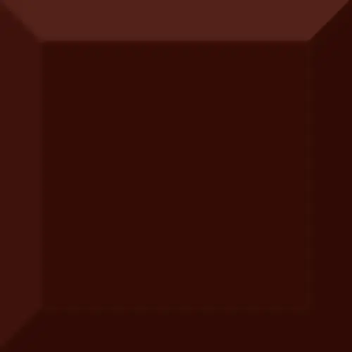 Absolut Keramika Biselado Brillo Marron 10x10