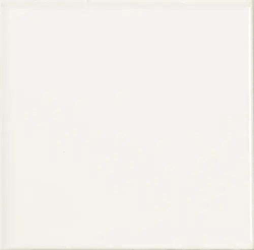 Плитка Liso Brillo Blanco 20х20