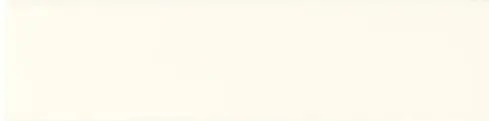 Adex Studio Liso Bamboo 4,9x19,8
