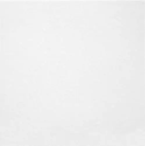 Плитка напольная Ceramica Monocolor Белый 418 41.8х41.8