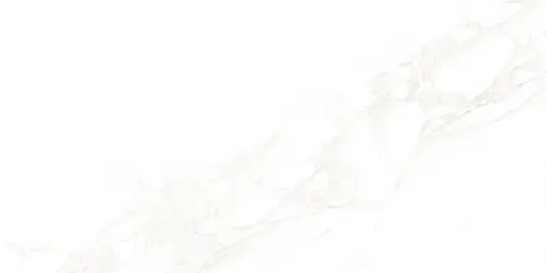 Плитка WT9ARE00 Artdeco White 250х500*9