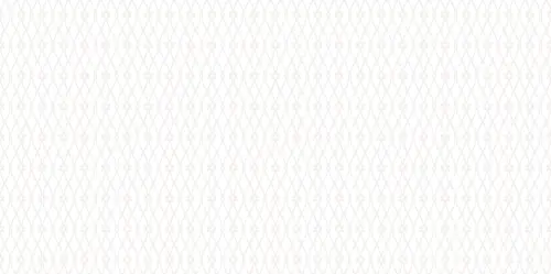 Плитка WT9ELZ00 Eleganza White 249х500 *7.5