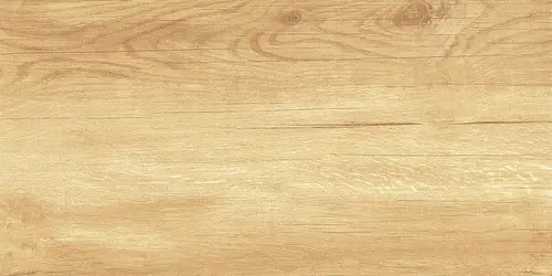 Плитка WT9OAS31 Paradise Wood 250х500*9