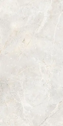 Керамогранит Augustus Pearl Natural rect 60x120 матовый универсальный