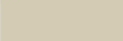 Colorful Champagne Rect 30x90