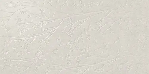 Divine White Rect 60x120
