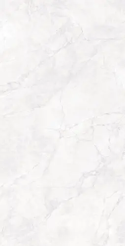 ARCTIC WHITE CARVING 60х120