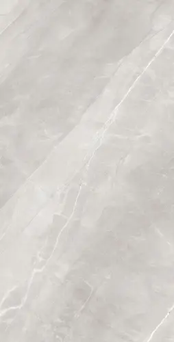 ARMANI SILVER 60х120