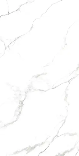 STATUARIO FINE 60х120