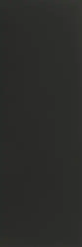Керамогранит 3000х1000х5.5 Arch Skin Color матовый