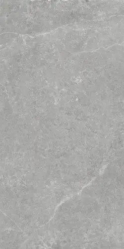 Керамогранит Argenta Ceramica Storm Grey Matt 60х120 (Испания)