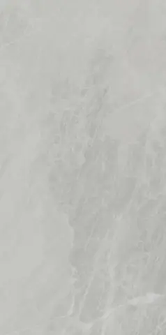 Ariostea Marmi Classici Gris De Savoi Soft 60x120