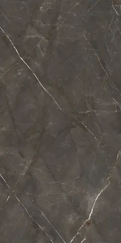Ariostea Marmi Classici Pulpis Grey Luc. Ret. 60x120
