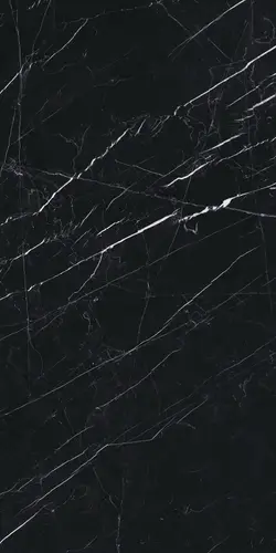 Ariostea Marmi Classici Nero Marquinia Luc 60x120