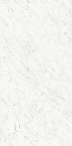 Ariostea Marmi Classici BIANCO CARRARA Luc Shiny 60х120