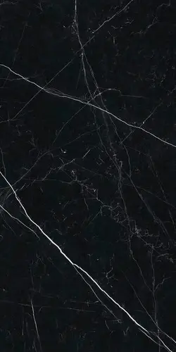 Ariostea Marmi Classici Nero Marquinia Lev Silk 60x120