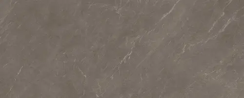 Керамогранит Avenue Taupe Rect Silk 100x300 матовый универсальный