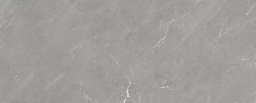 Керамогранит Avenue Ash Rect Silk 100x300 матовый универсальный