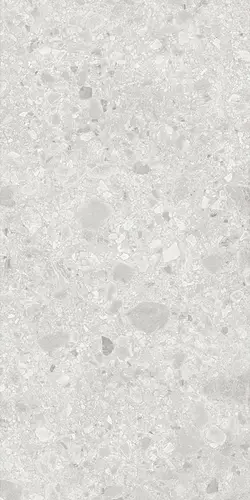 Ceppo Di Gre Blanco Sand Coloured Body 60x120