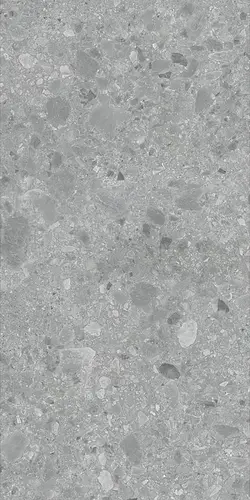 Ceppo Di Gre Gris Sand Coloured Body 60x120