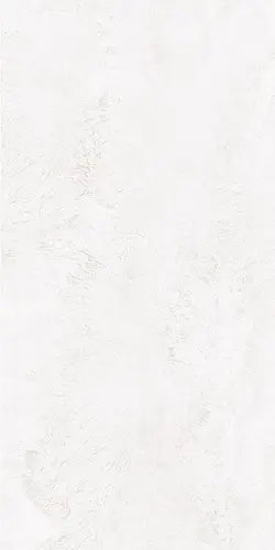 Moderno White Satin Matt 60x120