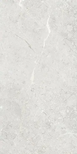 Una Pietra Silver Glossy 60x120