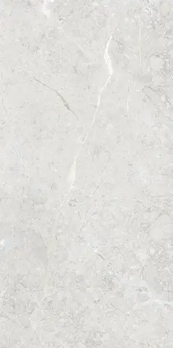 Silver Glossy 60X120 9мм