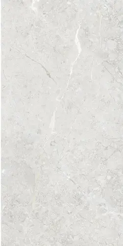 Silver Rustic Carving 60X120 9мм