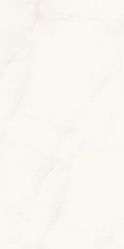 Керамогранит Marble Elvine Grey 120x60