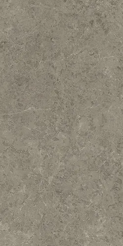 Керамогранит 120х240 см MERAVIGLIA Grigio Elegante Lappato 9 mm