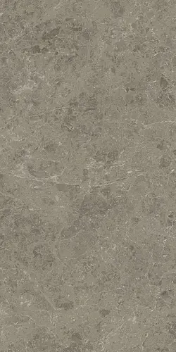 Керамогранит 60х120 см MERAVIGLIA Grigio Elegante Lappato 9 mm