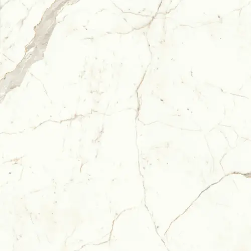 Marvel Calacatta Prestigio 120x120 Lappato