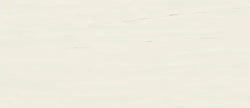 Плитка Marvel Bianco Dolomite Matt (120x278)