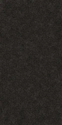 Atlas Concorde Plan Nero Zimbabwe Flamed 6 mm 162х324